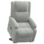 vidaXL Fauteuil gris clair velours