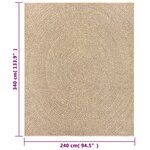 vidaXL Tapis ZIZUR 240x340 cm aspect de jute intérieur et extérieur