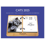 Coffret Éphéméride Agenda Yvon 2025 - Edition Chat - Draeger paris