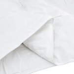 vidaXL Duvet d'été simple avec oreiller 2 Pièces Blanc Plume de canard