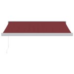 vidaXL Auvent manuel rétractable bordeaux 300x250 cm