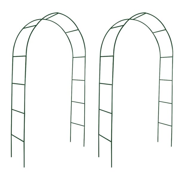 vidaXL Arche de jardin 2 Pièces pour plantes grimpantes