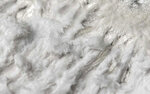 Pièce de monnaie en Argent 5 Dollars g 93.3 (3 oz) Millésime 2022 Winter Hunters WHITE TIGER