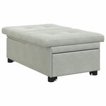 vidaXL Canapé-lit Gris clair 67 x 194 x 38 cm Velours