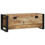 vidaXL Coffres de rangement 80x30x30cm en bois de manguier massif et métal