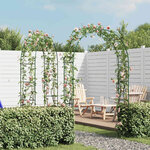 vidaXL Arche de jardin 2 Pièces pour plantes grimpantes
