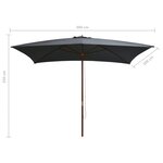 vidaXL Parasol d'extérieur avec mât en bois 200 x 300 cm Anthracite