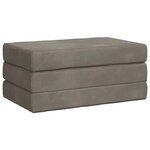 vidaXL Canapé-lit pliable 80 x 67 x 45 cm Gris clair
