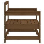 vidaXL Chaises de jardin 2 Pièces marron miel bois massif de pin