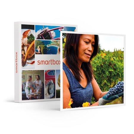 SMARTBOX - Coffret Cadeau Découverte de vignes biodynamiques avec dégustation de vins en Gironde -  Sport & Aventure