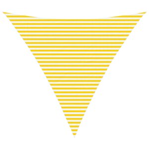 vidaXL Voile d'ombre 6 x 6 x 6 m 100 polyester Oxford Triangulaire