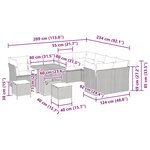 vidaXL Set de canapés de jardin 12 pièces avec des coussins en poly rotin beige et acacia.