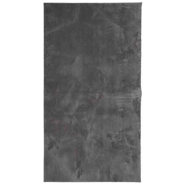 vidaXL Tapis HUARTE à poils courts doux et lavable anthracite 60x110cm
