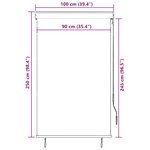 vidaXL Store roulant d'extérieur 100 x 250 cm Anthracite
