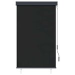 vidaXL Store roulant d'extérieur 100 x 250 cm Anthracite