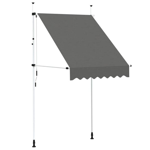 vidaXL Auvent manuel rétractable 150 cm Anthracite