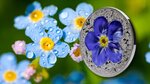 FORGET ME NOT Flowers and Leaves 1 Once Argent Coin 10 Dollars Palau 2023
