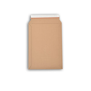 Lot de 100 enveloppes carton wellbox 4 format 250x353 mm