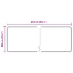 vidaXL Coureur de Tapis MARSA Noir 100 x 250 cm Polyester et PVC