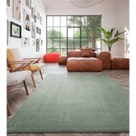 Dutch lifestyle tapis new york 230x160 cm vert