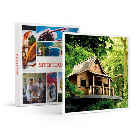 SMARTBOX - Coffret Cadeau 2 jours insolites dans les arbres -  Séjour