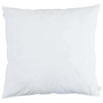 vidaXL Oreiller avec oreiller 2 Pièces Blanc 60 x 60 cm Plume