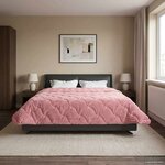 vidaXL Duvet d'hiver Rose 220 x 260 cm Microfibre et polaire Teddy