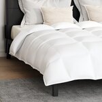 vidaXL Couette Autre avec oreiller 3 Pièces Blanc 200 x 220 cm Bas