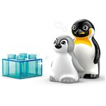 Lego 10442 - Duplo Familles d'animaux sauvages : pingouins et lions