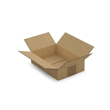 Caisse carton brune simple cannelure raja 21 5x15x5 5 cm (lot de 25)