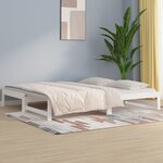 vidaXL Lit coulissant sans matelas blanc 2x(80x200)cm