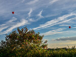 SMARTBOX - Coffret Cadeau Vol en montgolfière pour 2 avec dégustation de vin au-dessus de la vallée de la Loire -  Sport & Aventure