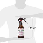 Désodorisant Maison Spray d'Intérieur Géranium/Rose 236 ml AIR WICK