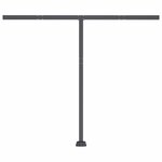 vidaXL Auvent manuel rétractable sur pied 300x250 cm Anthracite