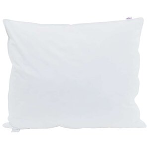 vidaXL Oreiller 2 pc 60 x 70 cm Plume Blanc