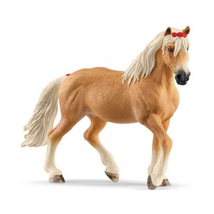 13950 Jument Haflinger