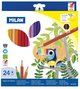 Crayons de couleur hexagonaux 24 pièces