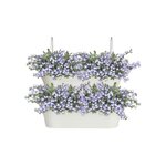 Corsica Vert Forest Large Set 2 blanc
