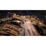 Ark : Ultimate Survivor Edition Jeu PS4