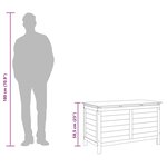 vidaXL Boîte de rangement de jardin anthracite bois massif de sapin