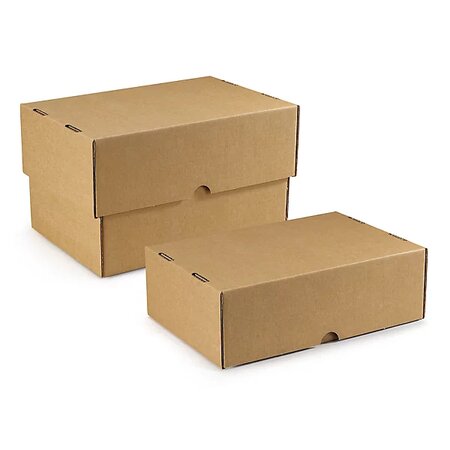 Caisse carton télescopique brune simple cannelure raja 22x12x5/9 cm (lot de 50)