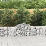 vidaXL Paniers à gabions arqués 25 Pièces 200x30x60/80 cm Fer galvanisé