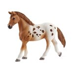 Schleich - figurine 42433 l'entraînement au concours d'horse club lisa