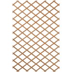 Nature Treillis de jardin 100 x 300 cm Bois Marron