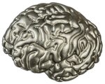 Pièce de monnaie 5 Dollars Samoa 2023 2 onces argent BE – Le cerveau