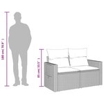 vidaXL Canapé de jardin 2 places et coussins gris clair résine tressée