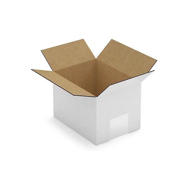 Caisse carton blanche simple cannelure raja 16x12x11 cm (lot de 25)
