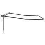 vidaXL Auvent avec Anthracite 3 x 2 5 m Métal