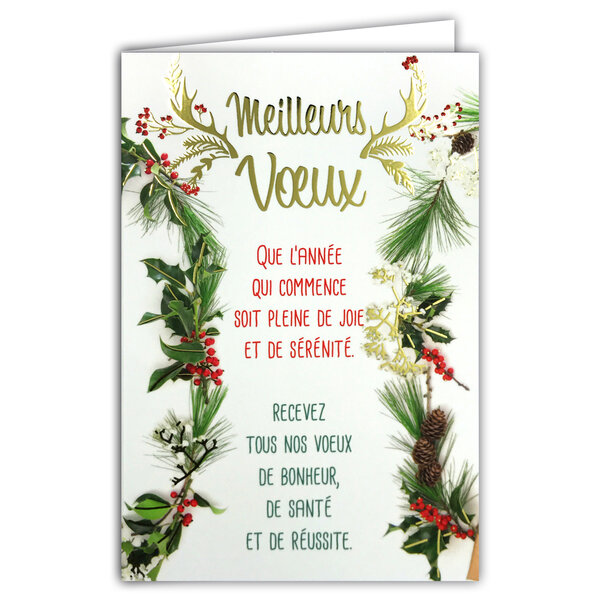 Carte Bonne Année Meilleurs Vœux +enveloppe12x17 5cm