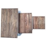 vidaXL Ensemble de tables gigognes 3 Pièces Bois de récupération massif